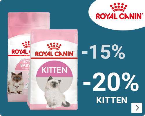 Royal Canin kitten klein en grootverpakkingen 15 20% CAT (voor deze ook een Super Sale variant maken incl Home page)